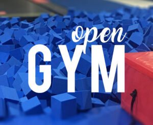 OpenGym Picture for website